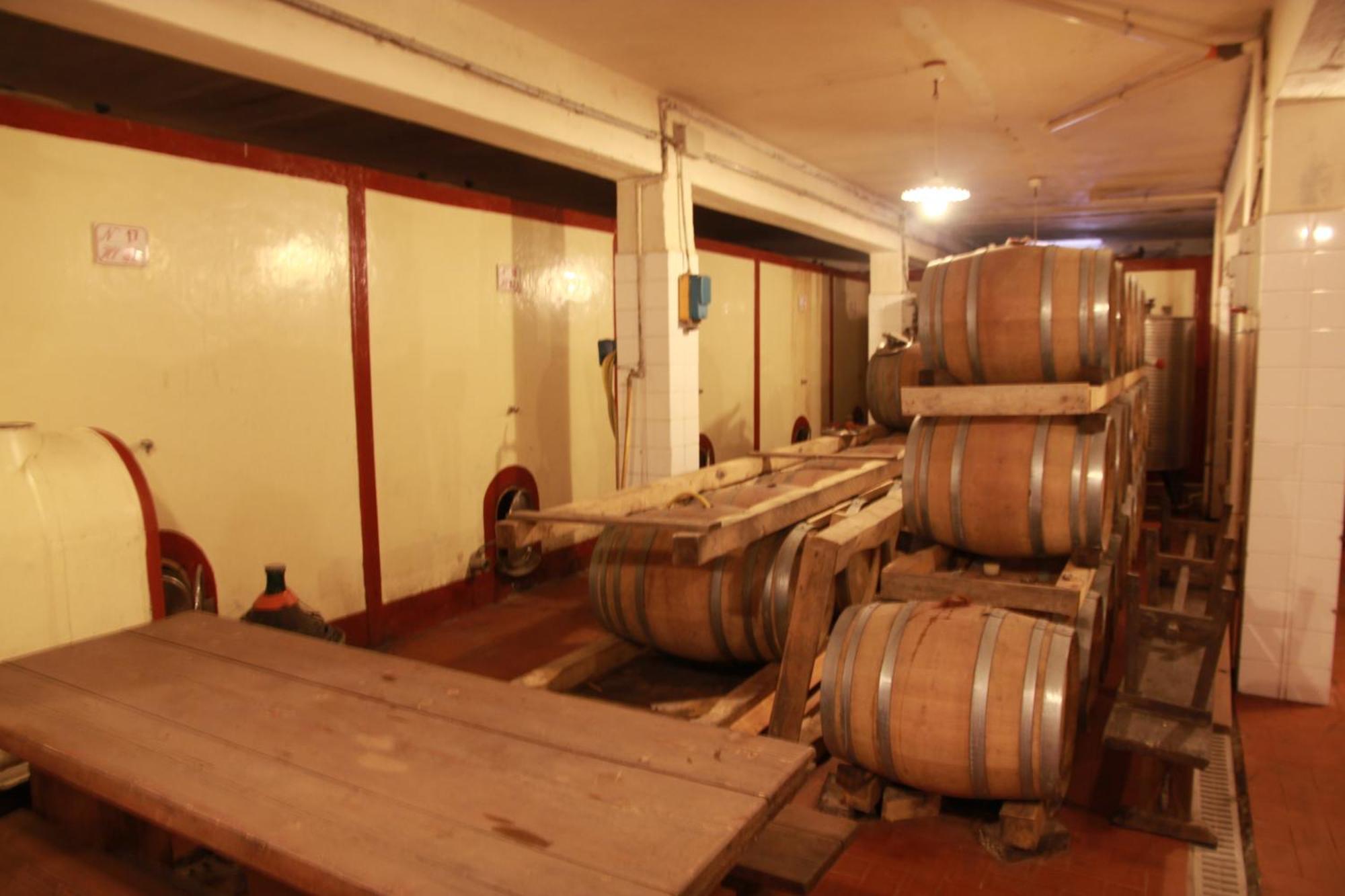 Azienda Agricola Sapereta 포르투 아주로 외부 사진
